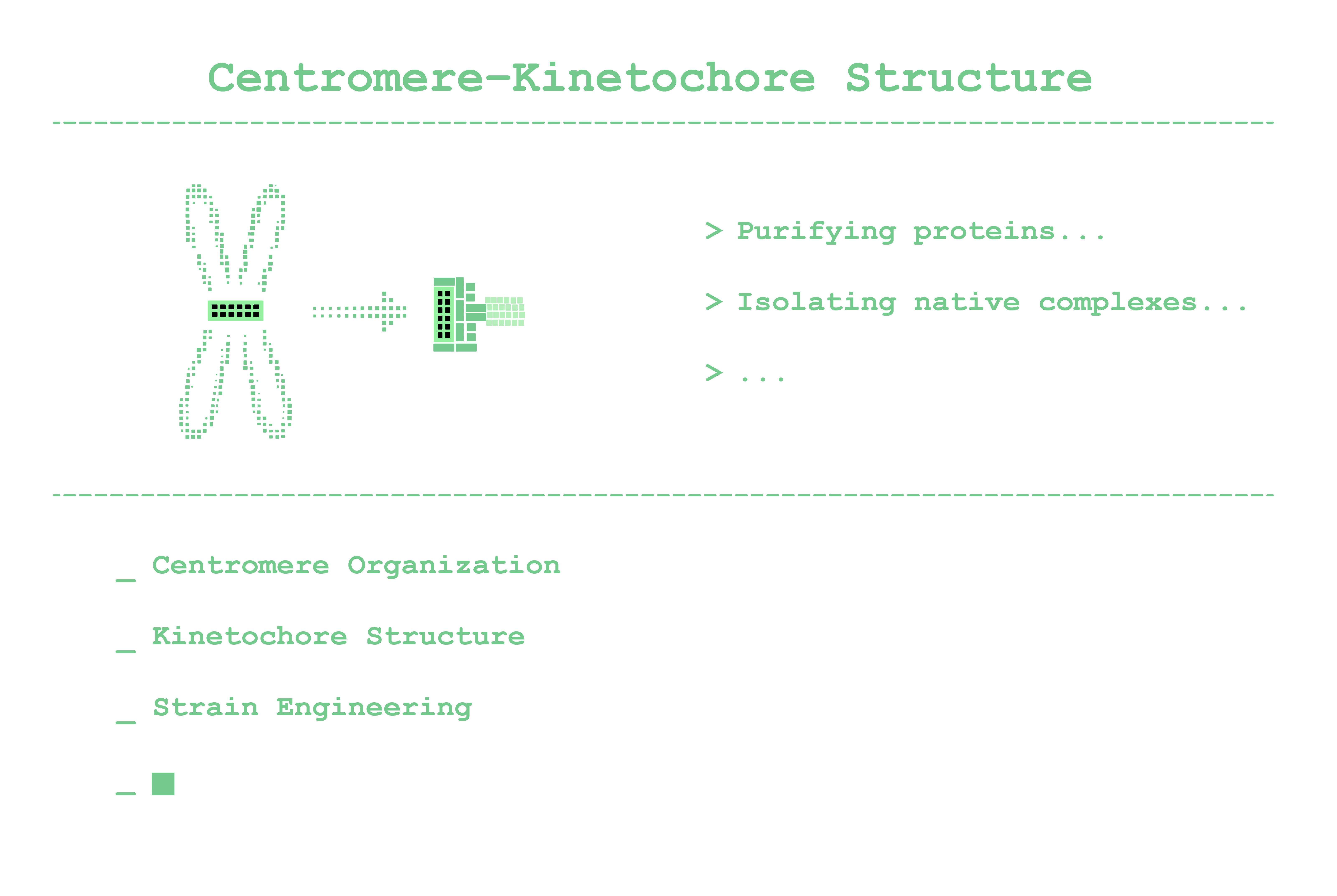 Centromere Evolutionary Genomics